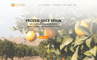 Case Study Frozen Juice Spain