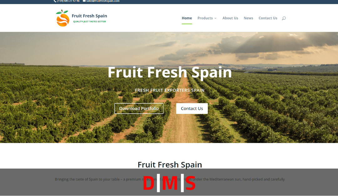 Case Study: Fruit Fresh Spain Web Design & SEO