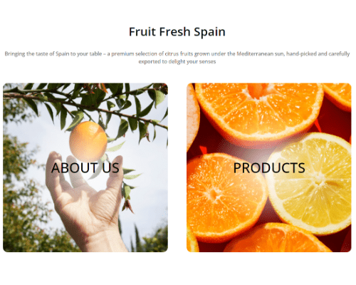 Fruit Fresh Spain are growers and exporters of fresh fruit from Spain